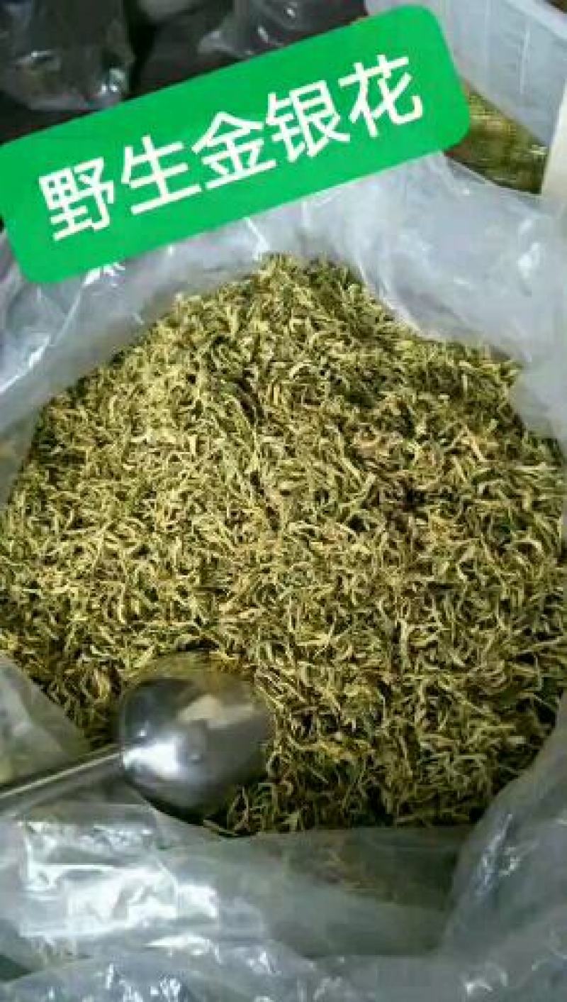 金银花药用金银花、茶用金银花，纯野生金银花