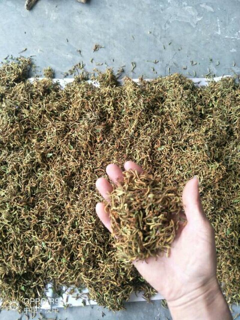 金银花药用金银花、茶用金银花，纯野生金银花