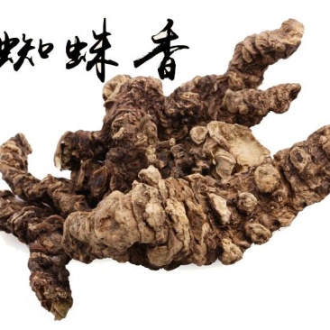 蜘蛛香马蹄香土细辛心叶缬草养心莲
