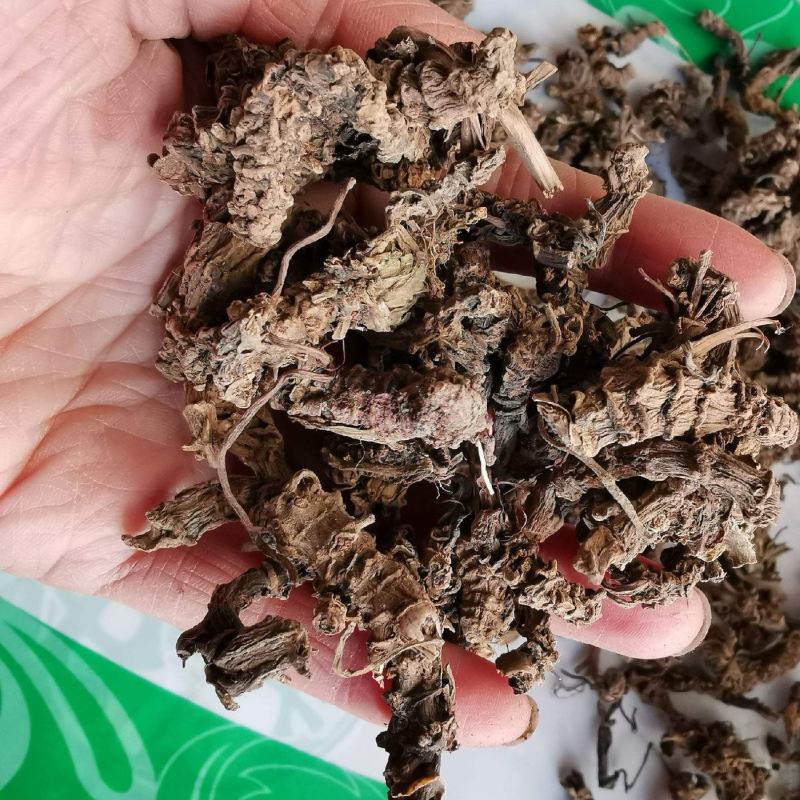 蜘蛛香马蹄香土细辛心叶缬草养心莲