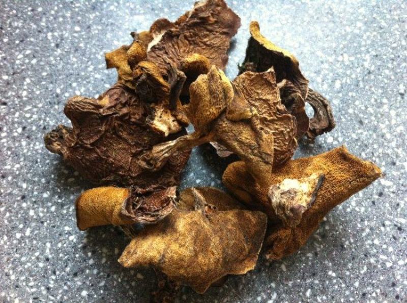 野生烘干干净松蘑，小灰蘑，坝上食品