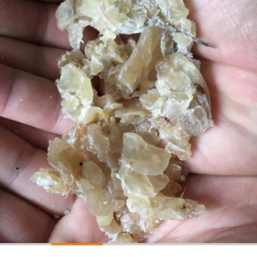 牛蛙油