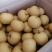 精品光果圆黄梨，套袋圆黄梨，砀山产地，全国代发。