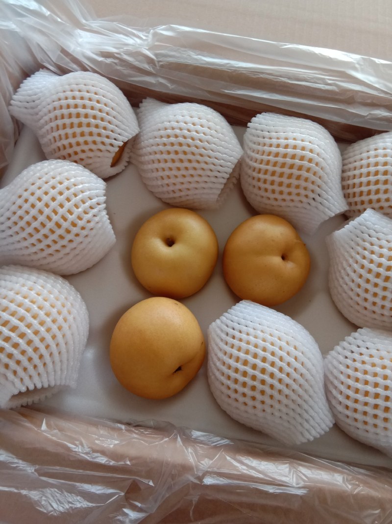 精品光果圆黄梨，套袋圆黄梨，砀山产地，全国代发。