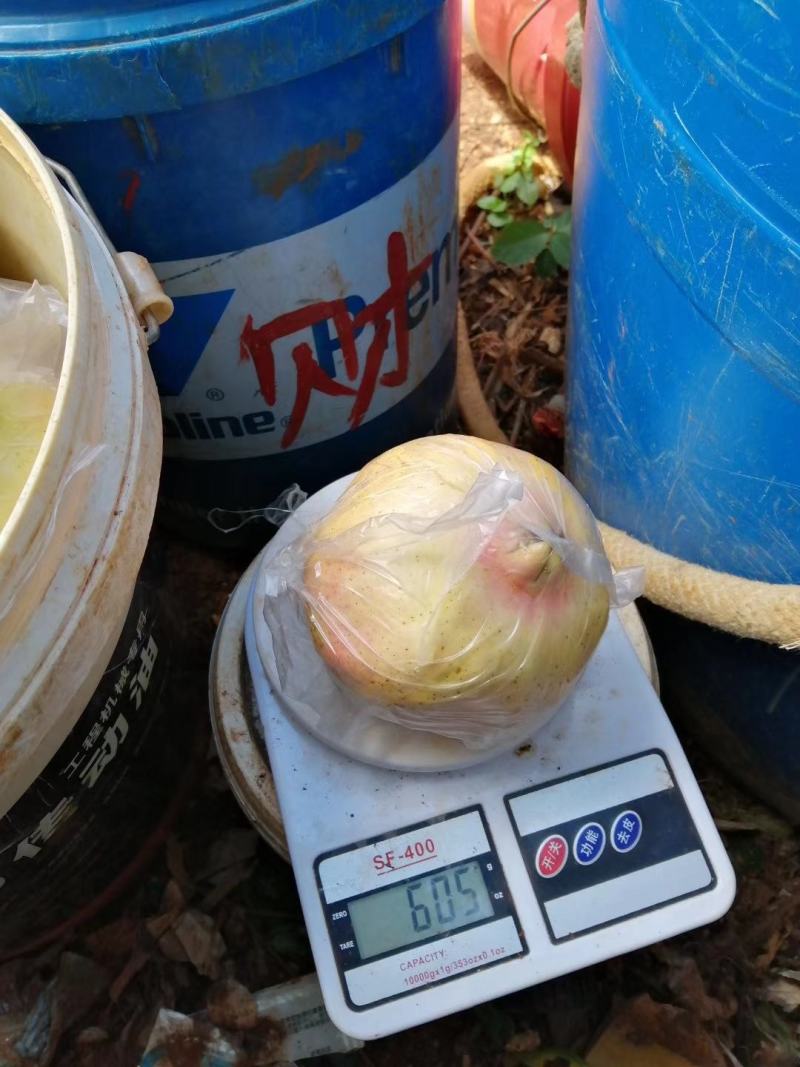 【云南蒙自薄皮绿籽石榴】个个精品粒大皮薄果大多汁