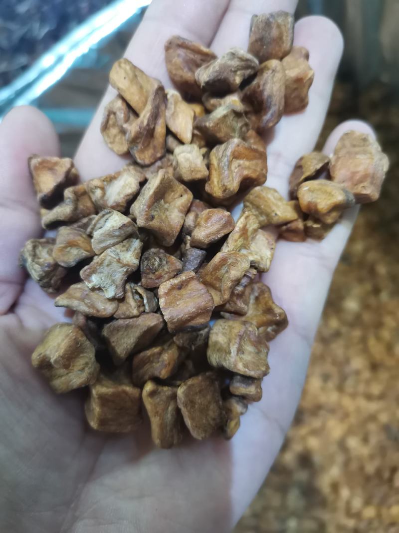 菊苣根天然无硫大颗粒干净无杂2斤包邮