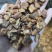 菊苣根天然无硫大颗粒干净无杂2斤包邮