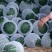 西瓜武威西瓜大棚吊瓜全年种植货量充足可供市场商超电商