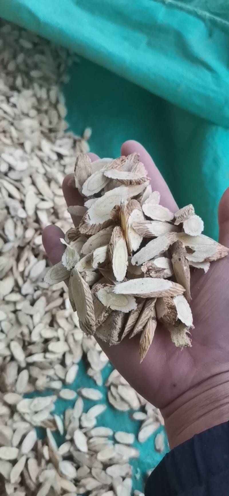 欢迎咨询，