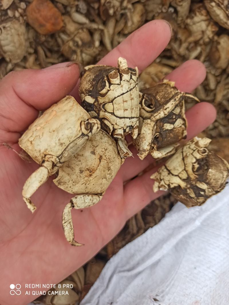 方海螃蟹甲批发零售中药材中药专营