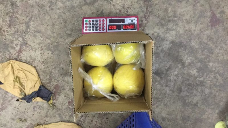 平和琯溪蜜柚