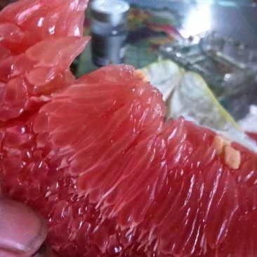 平和琯溪蜜柚