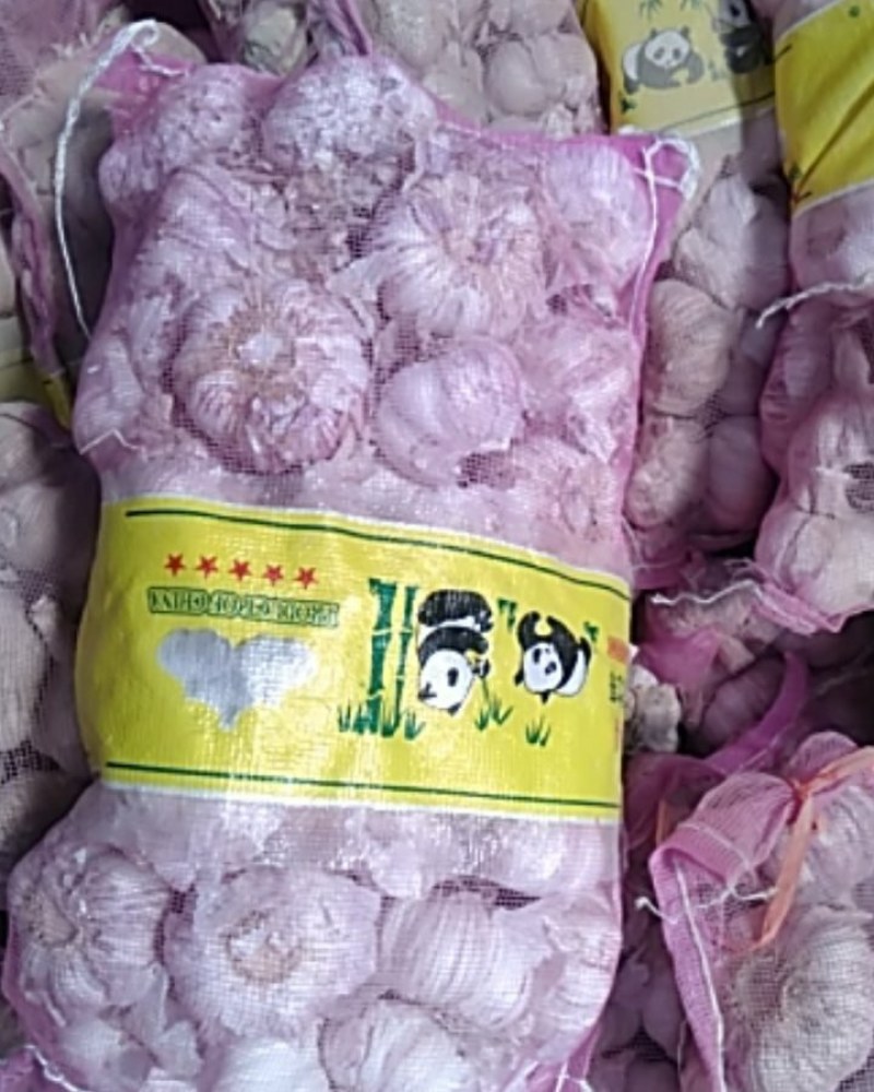 大青棵杂交蒜种一级货