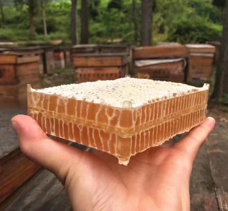 20每盒580克每盒，价低量大，纯蜜蜂巢蜜批发