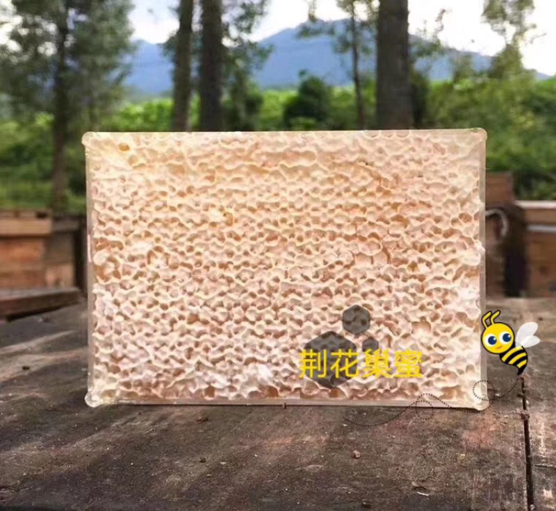 20每盒580克每盒，价低量大，纯蜜蜂巢蜜批发