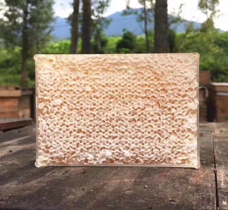 20每盒580克每盒，价低量大，纯蜜蜂巢蜜批发