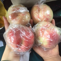 毛桃大量上市了！