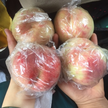 毛桃大量上市了！