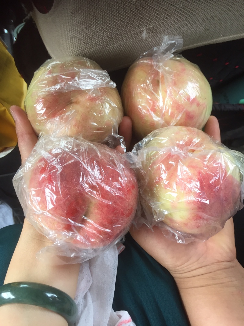毛桃大量上市了！