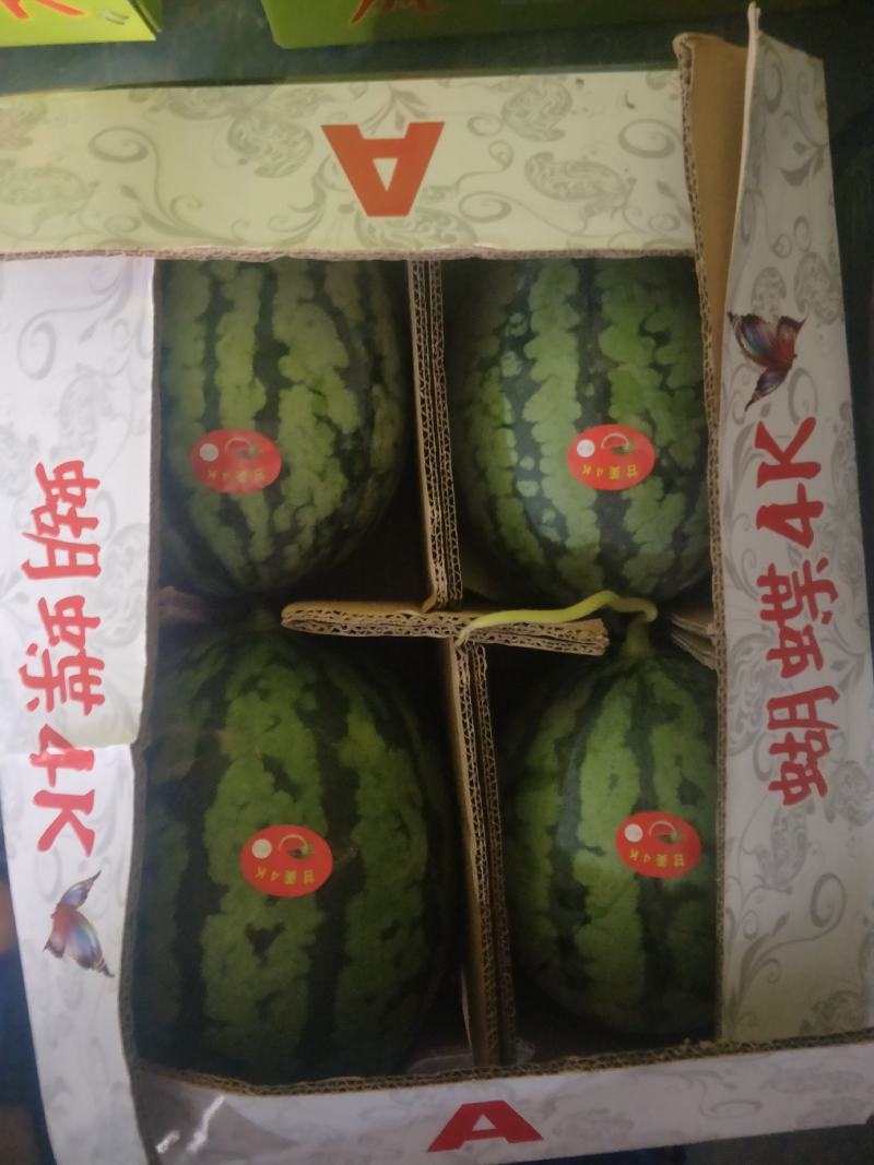甘美4k西瓜（战神）代发全国，质量保证，欢迎各大商超市场