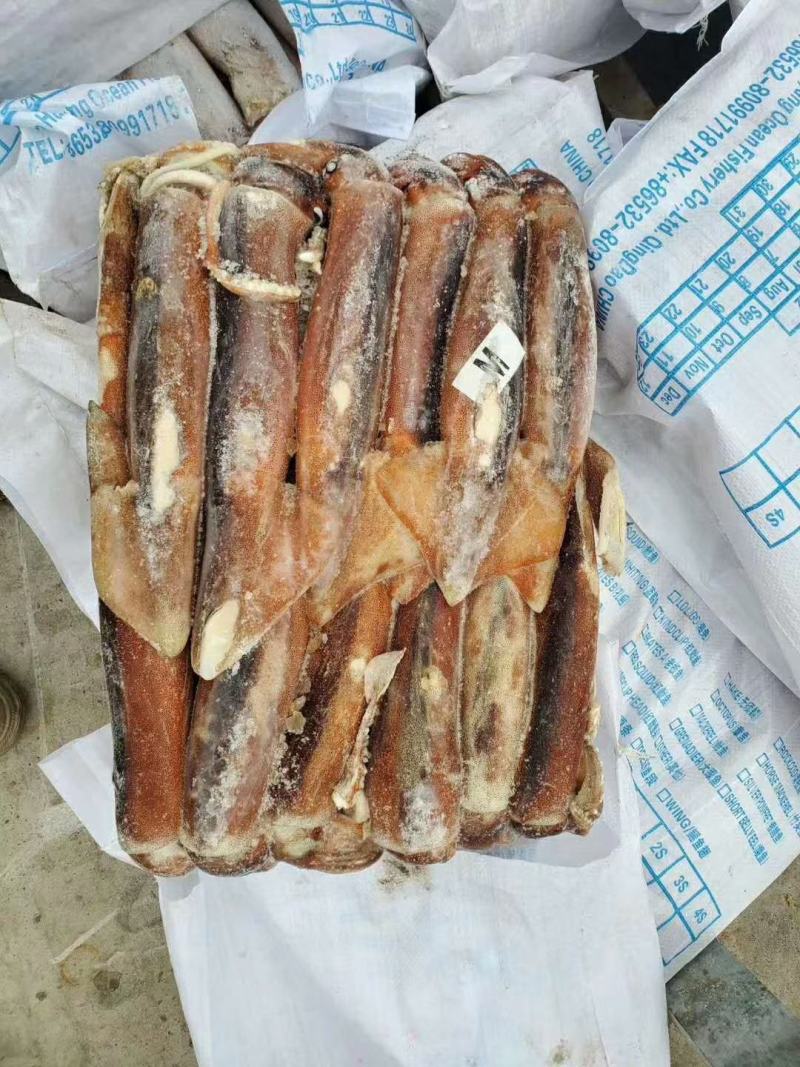 阿根廷鱿鱼原料拖网勾掉都有一手货源保证质量