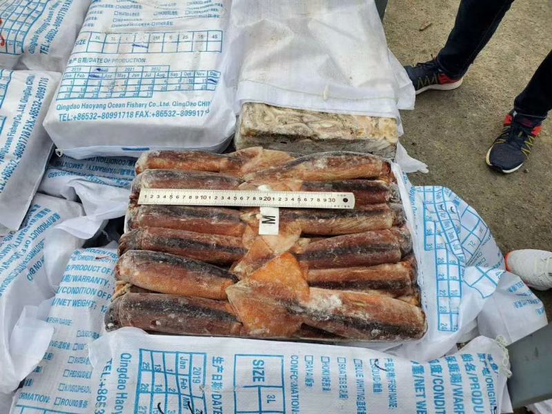 阿根廷鱿鱼原料拖网勾掉都有一手货源保证质量
