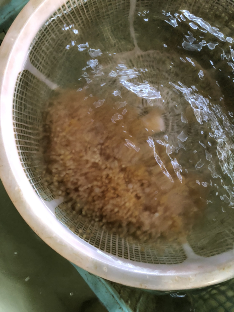 【黄颡鱼苗】黄颡鱼苗、场地直供、买家保障.一手货源