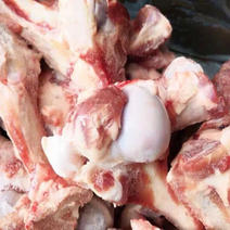 新鲜冷冻猪筒骨煲汤5-8斤少肉猪骨头汤骨猪前腿筒骨带少许