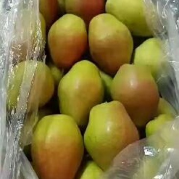 红香酥梨，早酥梨，夕阳红光果，产地直供，质量保证