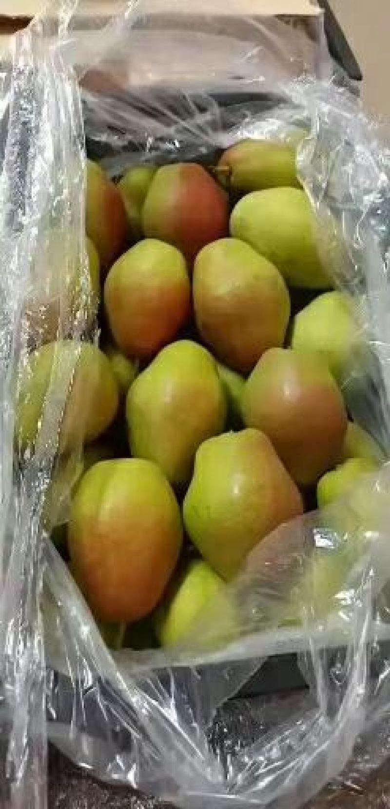 红香酥梨，早酥梨，夕阳红光果，产地直供，质量保证