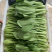 【直销】南通一级油菜小青菜基地直采货源充足常年有货