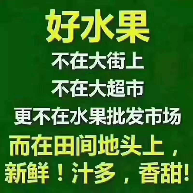 大荔冬枣、