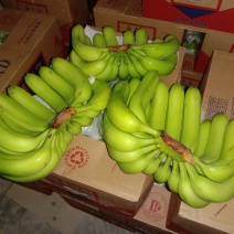 新到的精品香蕉(23斤净重48元一件)