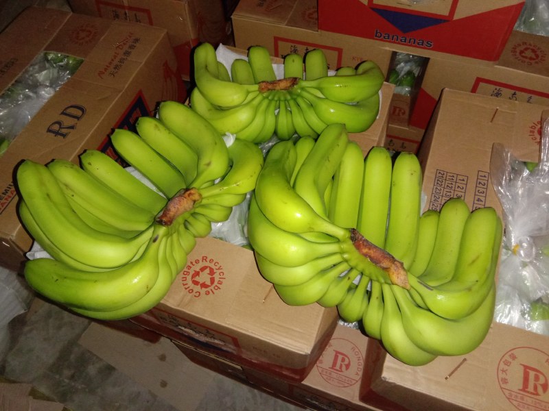 新到的精品香蕉(23斤净重48元一件)