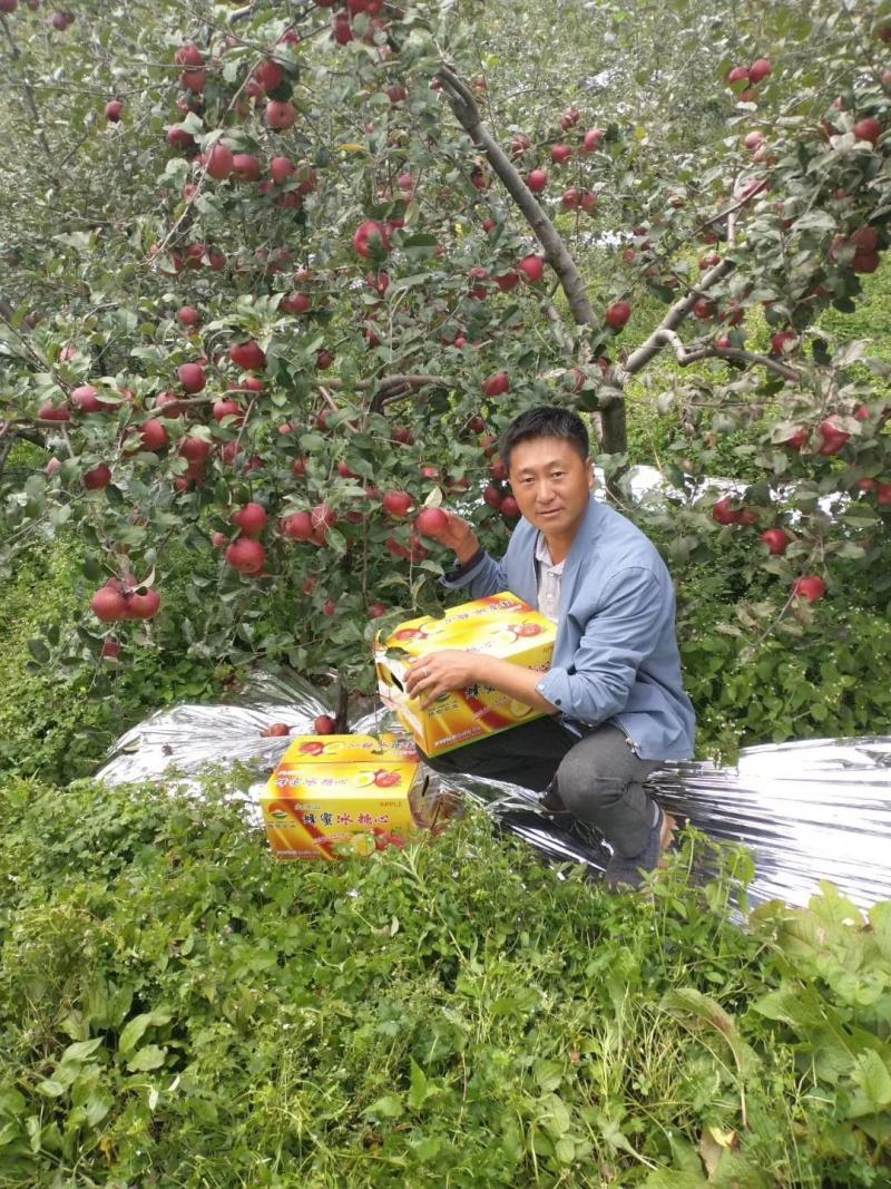 大凉山冰糖心丑苹果，果农直销，批发零售，专业代理