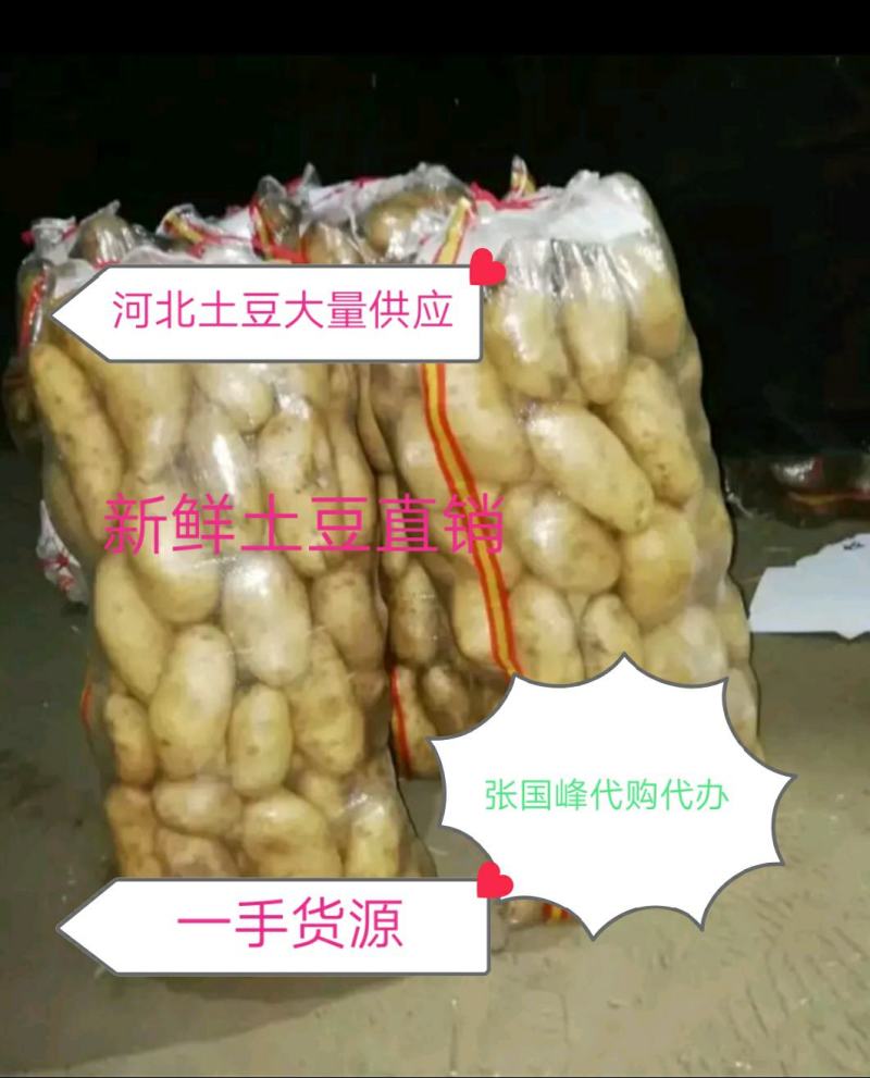 希森V7，709，Ev系列土豆2两以上精品欢迎选购