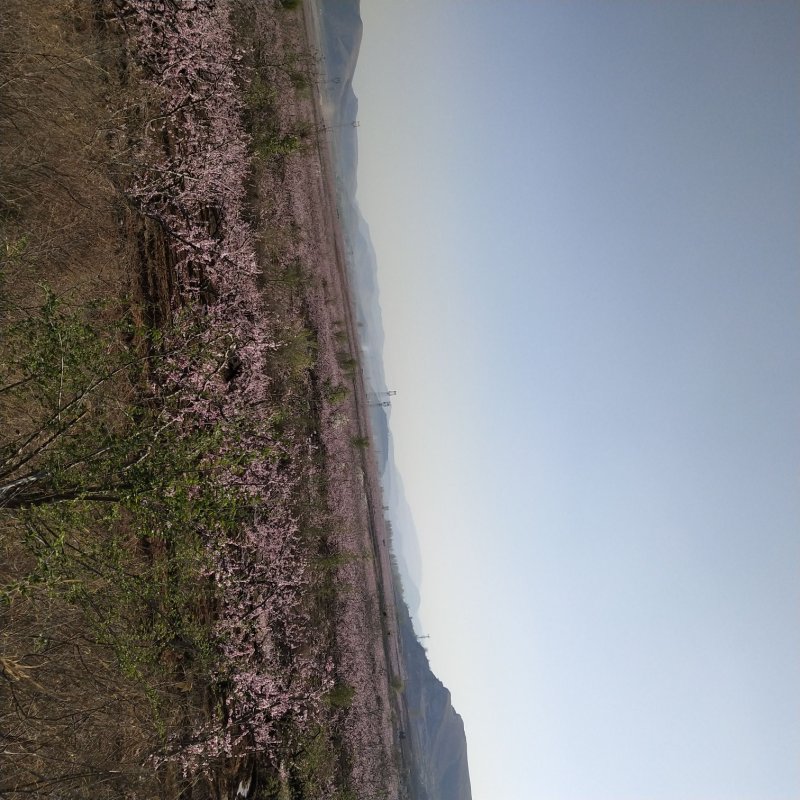 白凤甜挑真甜密甜甜密密
