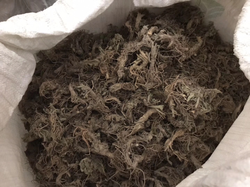 地胆头无泥干货新货草鞋根草鞋底煲汤材料