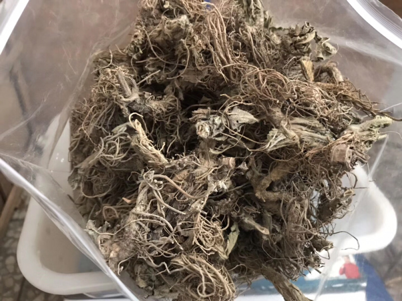 地胆头无泥干货新货草鞋根草鞋底煲汤材料