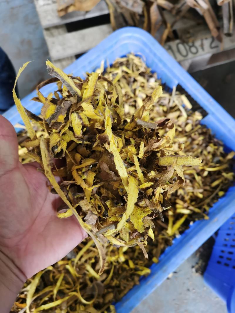 川黄柏机器沫，机器去皮，生长在四川崇州1400米的高海拔