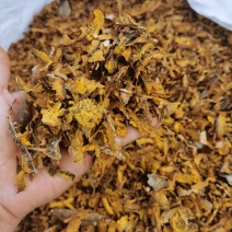 川黄柏机器沫，机器去皮，生长在四川崇州1400米的高海拔