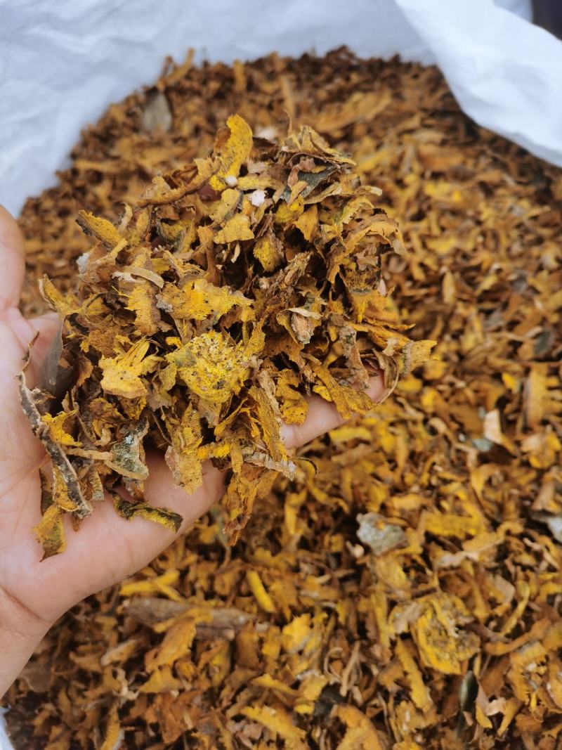 川黄柏机器沫，机器去皮，生长在四川崇州1400米的高海拔