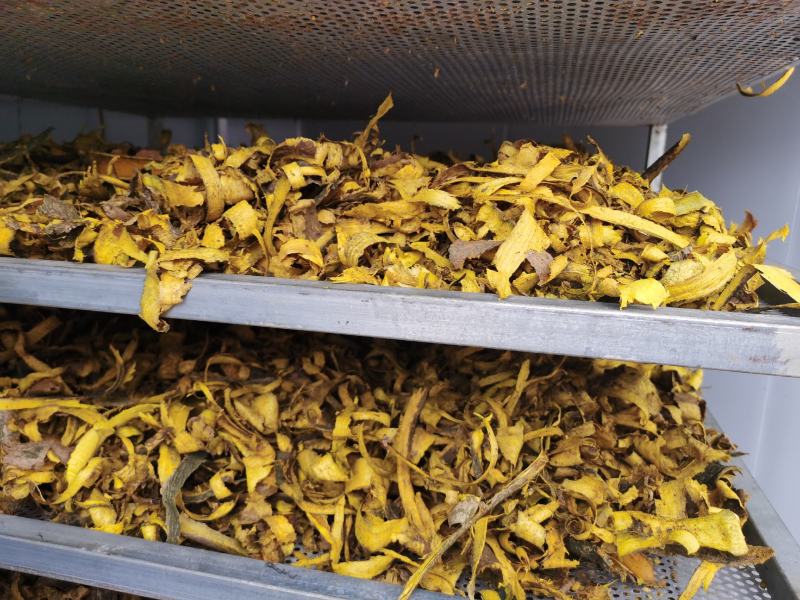 川黄柏机器沫，机器去皮，生长在四川崇州1400米的高海拔