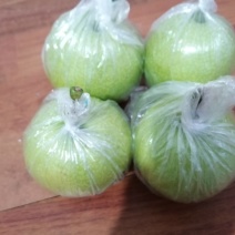 青皮皇冠梨大量上市，一件代发，批量走货，商超团购都可以。