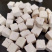 茯苓丁无硫足干白茯苓新货支持一件代发