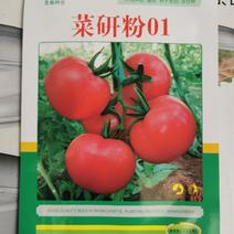 菜研粉01番茄种子西红柿种籽草莓番茄苗沙瓤产量高口感好酸