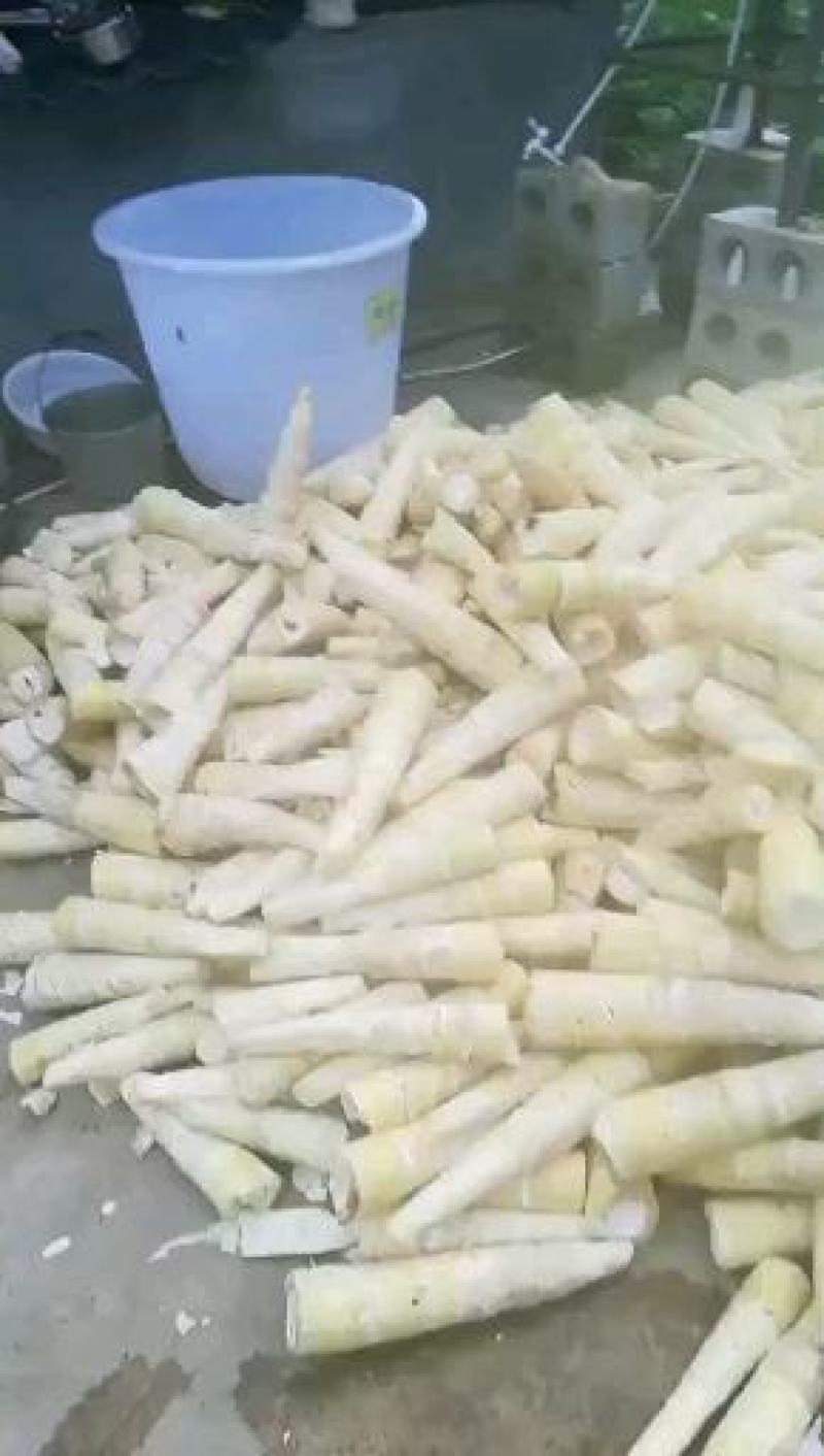 蜂蜜，干笋