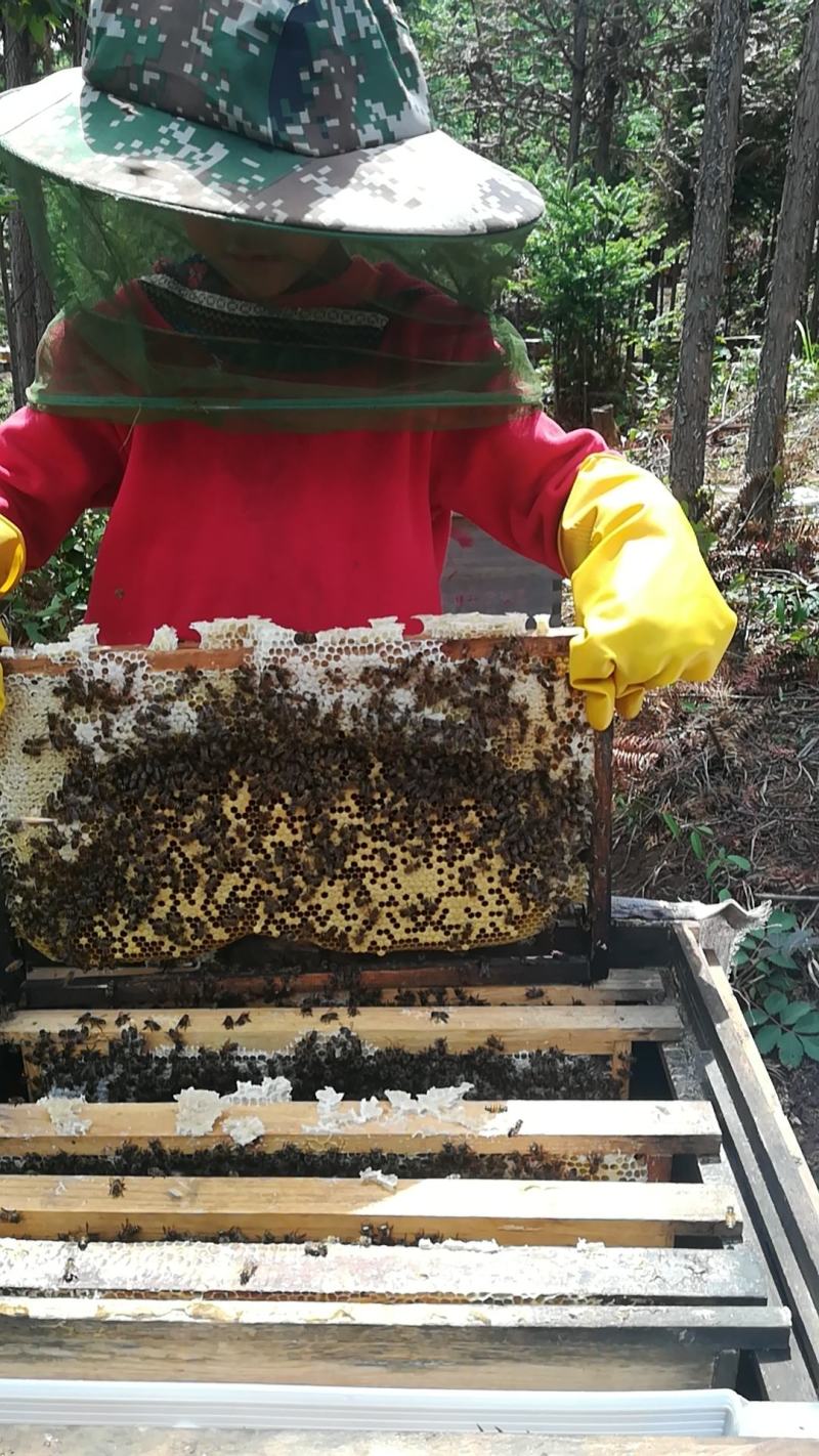 蜂蜜，干笋