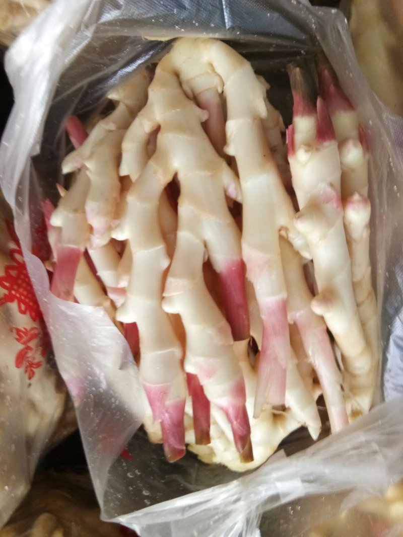 生姜（新鲜生姜现货供应）