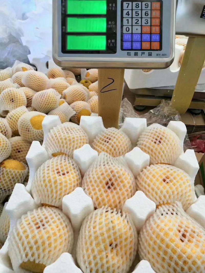 砀山酥梨精品酥梨产地发货中间无差价值得信赖